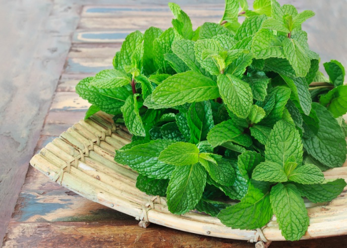 Conoce los sorprendentes beneficios de la hierbabuena