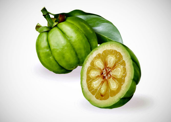 Uso de garcinia cambogia
