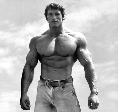 Actor Arnold Schwarzenegger petado