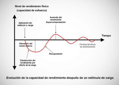 Entrenamiento principio de del proceso de continuidad la