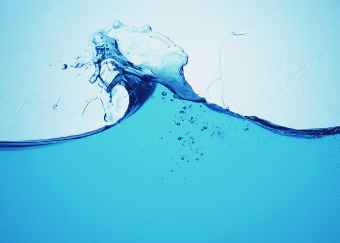 La dieta del agua