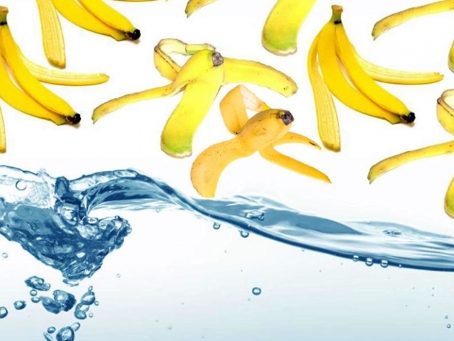 ¿Por qué debes comer un plátano antes de tu próximo ¿Por qué debes comer un plátano antes de tu próximo