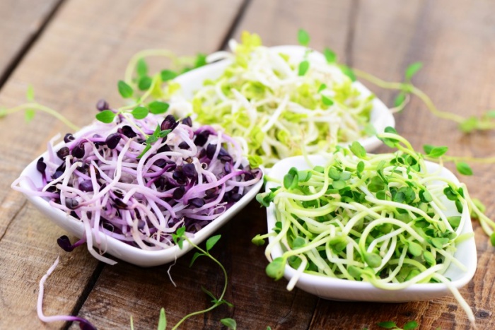 Conoce 3 vegetales que ayudan a desarrollar masa muscular Conoce 3 vegetales que ayudan a desarrollar masa muscular