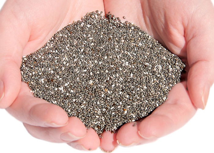 Chia para adelgazar foro