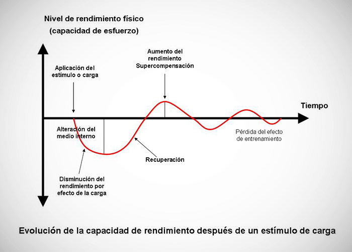 Adaptación